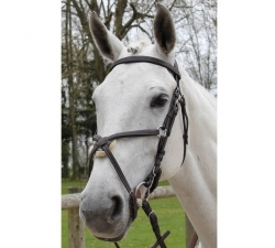 Bridon Treadstone Pavin Richtan