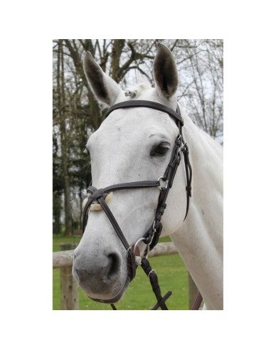 Bridon Treadstone Pavin Richtan