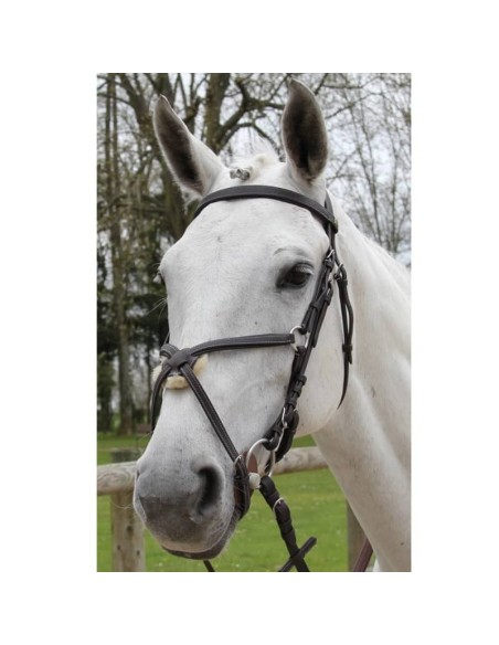 Bridon Treadstone Pavin Richtan