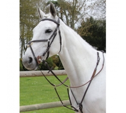 Collier de chasse Treadstone US Richtan