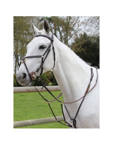 Collier de chasse Treadstone US Richtan