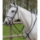 Collier de chasse Treadstone Clencher Richtan