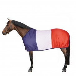 Equipride Tapis de voyage en polaire pour cheval - 260 g/m² - Pour Shetland, poney - Taille : 90 à 220 cm - Rose