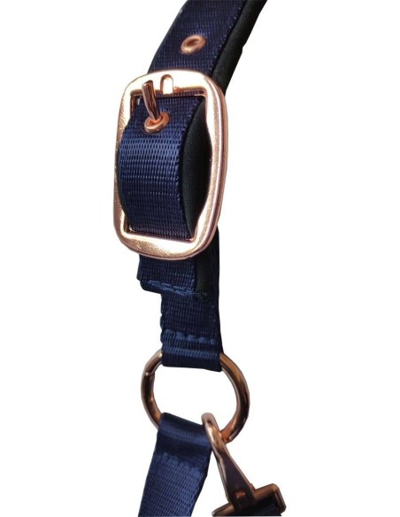 Set longe + licol Daslo Gold Tattini