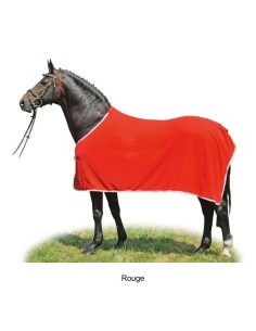 Chemise séchante Alaska de HKM shetland poney cheval Rouge