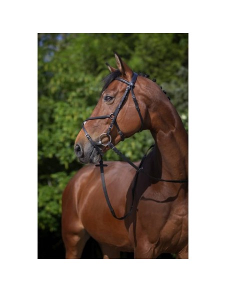 Bridon Riding World muserolle croisée