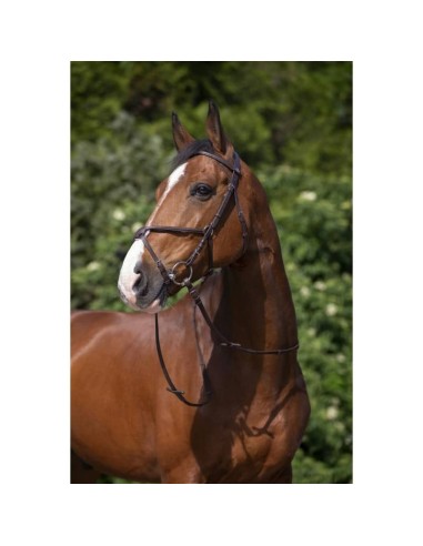 Bridon Riding World muserolle croisée