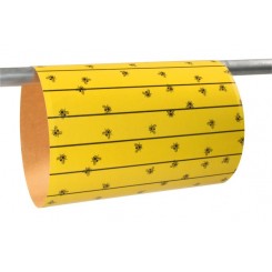 Feuilles attrape-mouche Eco