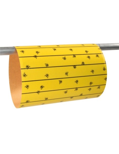 Feuilles attrape-mouches FlyMaster 595 x 300 mm