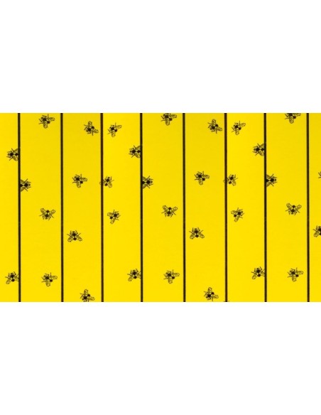 Feuilles attrape-mouches FlyMaster 595 x 300 mm