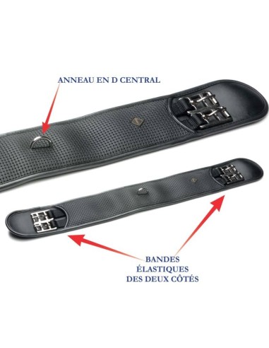 Sangle de dressage Daslo Tattini