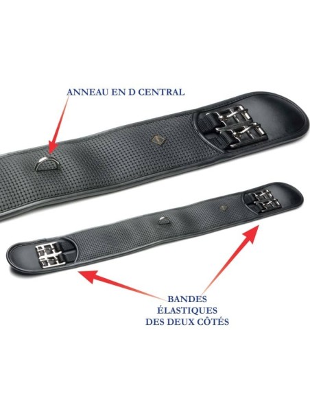 Sangle de dressage Daslo Tattini