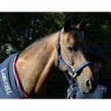 Chemise séchante Equipe de France