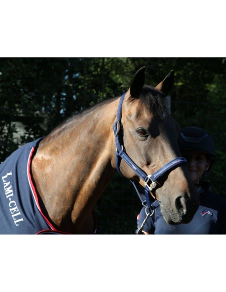 Chemise séchante infra rouge Equipe de France