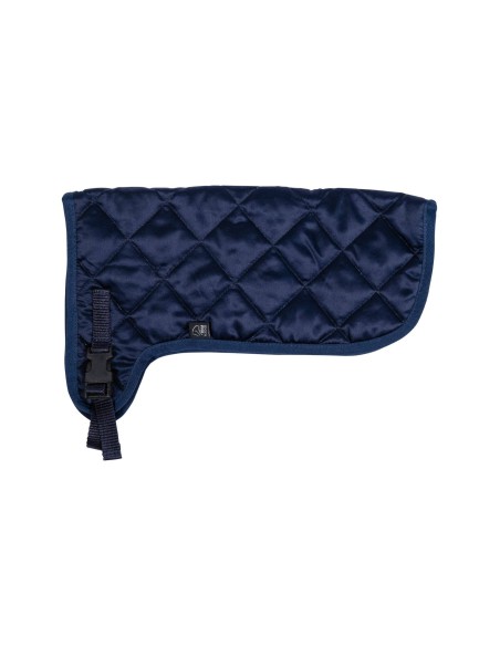 Couverture Hobby Horsing HKM