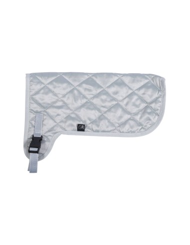 Couverture Hobby Horsing HKM