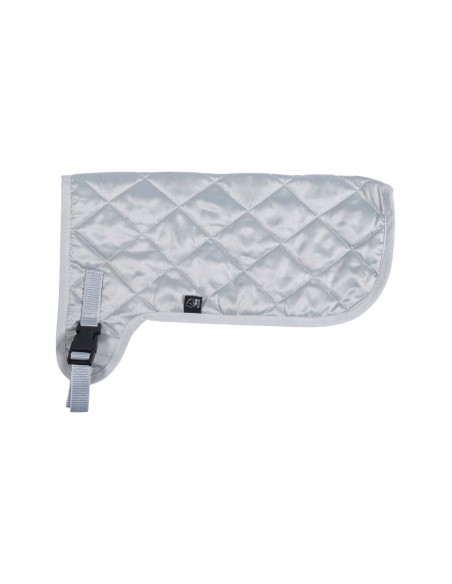 Couverture Hobby Horsing HKM