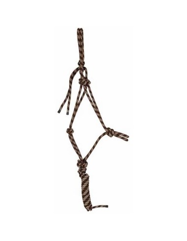 licol-de-presentation-et-sa-longe-assortie