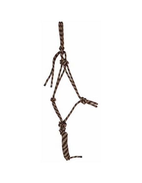licol-de-presentation-et-sa-longe-assortie