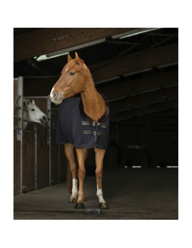 Chemise polaire Equithème Teddy