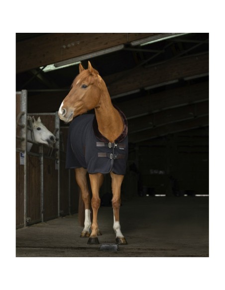 Chemise polaire Equithème Teddy