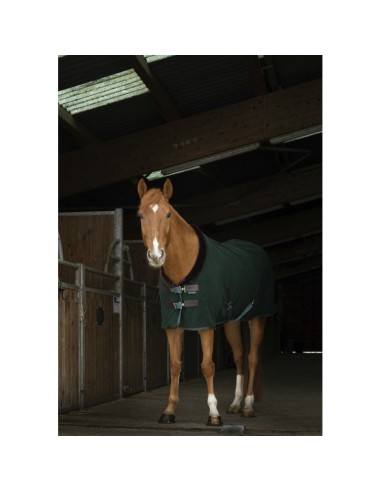 Chemise polaire Equithème Teddy
