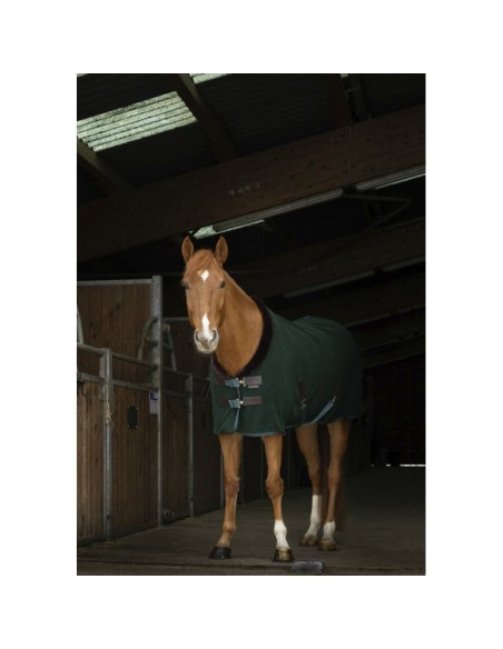 Chemise polaire Equithème Teddy