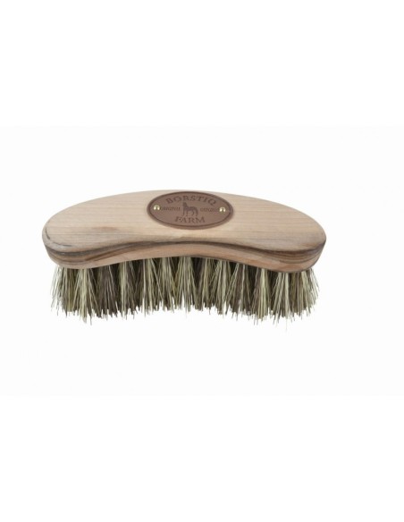 Brosse à crins Borstiq