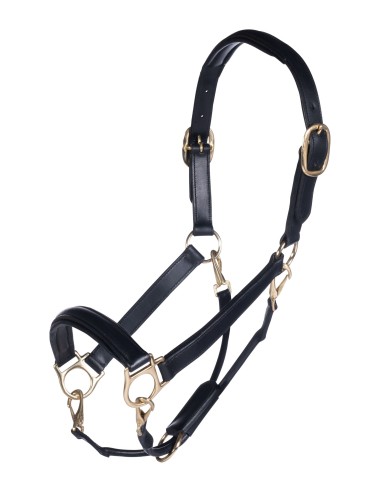 Licol en cuir Gold HKM