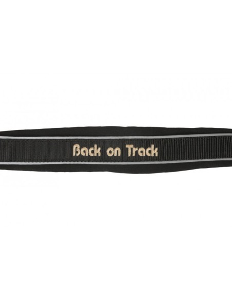 Licol Back on Track Werano réfléchissant