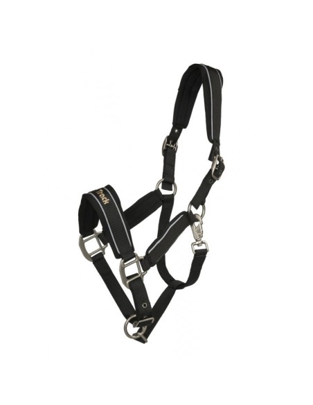 Licol Back on Track Werano réfléchissant