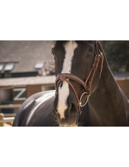 Bridon Pénélope Smoothie Pearl