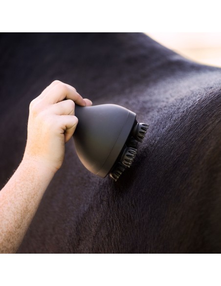 Brosse Toilettage & Détente Volta Imperial Riding