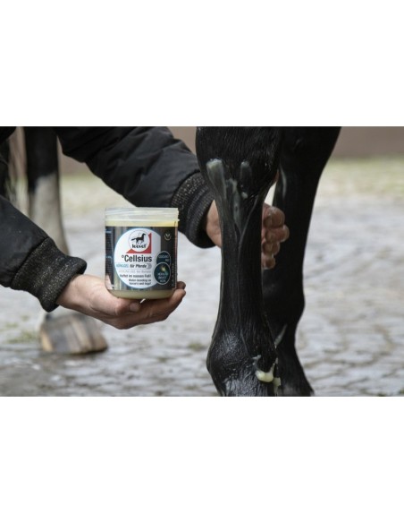 Gel refroidissant Leovet Cellsius