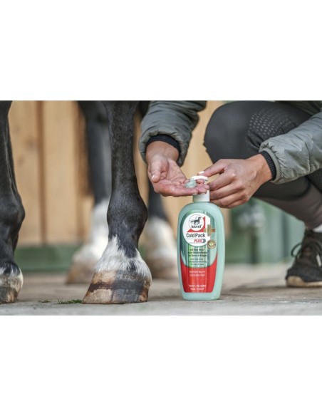 Gel rafraichissant Leovet Aloe Vera