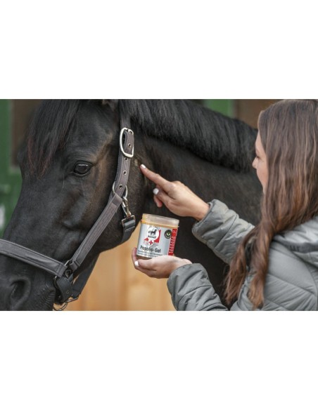Gel Leovet Propolis First Aid