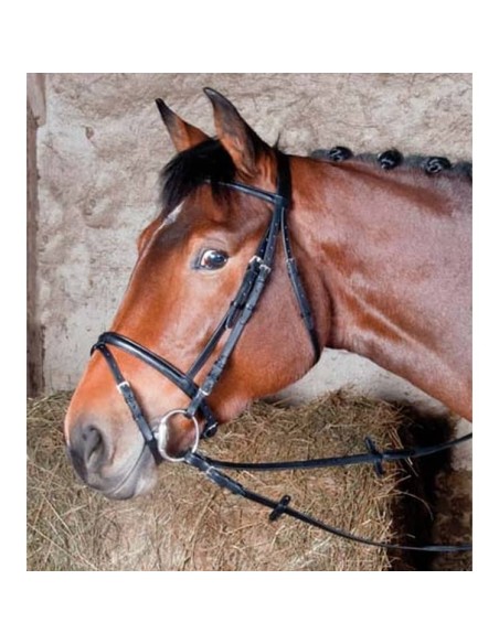 bridon-1er-prix-de-qualite-par-tdet