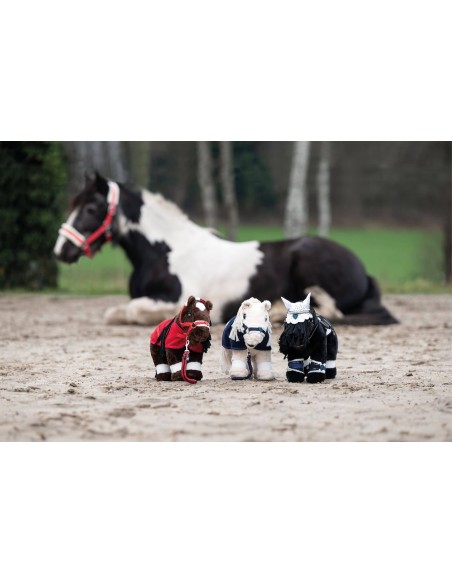 Cuddle Pony à élever