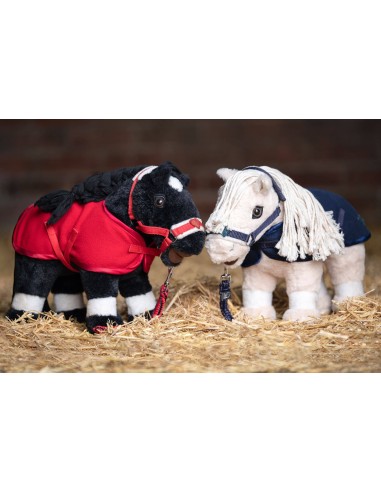 Set de démarrage Cuddle Pony