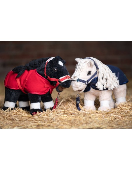 Set de démarrage Cuddle Pony