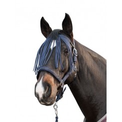 Frontal chasse mouches