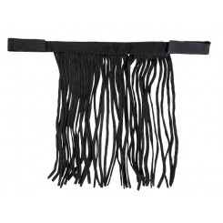 Frontal chasse mouches