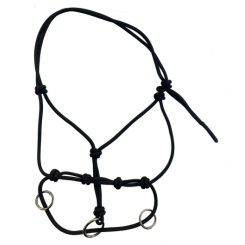 Licol d'entrainement Tattini