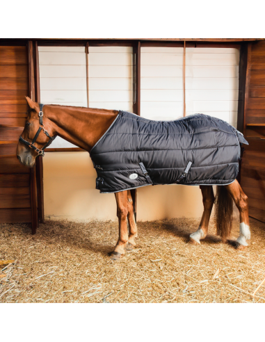 Couverture de Box DMH Equitation