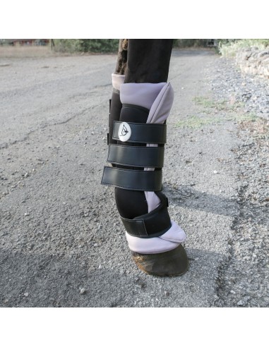 Stable Boots DMH Equitation