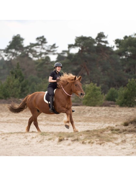 Bareback pad selle tapis de monte à cru du shetland au cheval