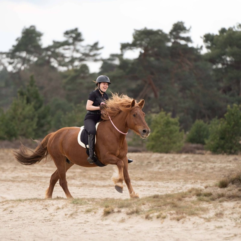 Poignée de Selle pour Équitation - Imperial Riding Poignée de Selle pour Équitation - Imperial Riding