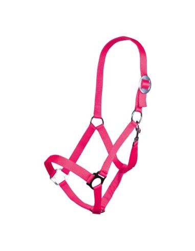 Licol -Stars Economy Softice- HKM Vert Fluo
