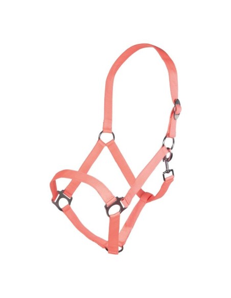 Licol -Stars Economy Softice- HKM