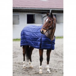 Couverture D'hiver Isolante Pour Cheval Big D - Grande Taille, état Correct